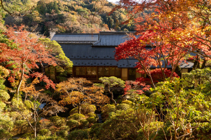 【秋の特別公開】修禅寺の庭園－伊豆市